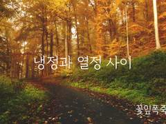 [토도이즈/토도데쿠] 냉정과 열정사이 (하)