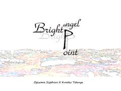 [쑥흑] Bright Angel Point