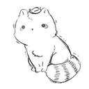 이제 좆 아닌것 같음!