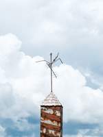 B 11의 데카당스