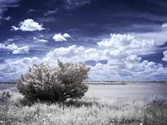 [뷔진] 그 사랑, 전색맹 15