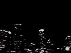 붉고 찬란한 당신을