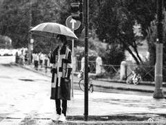 [주일룡백우] 용과 그의 기록자 1