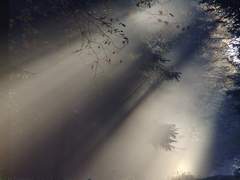 [종료] @_Abyss_of__