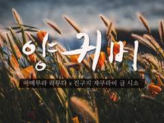 [라무쟈쿠] 양귀비