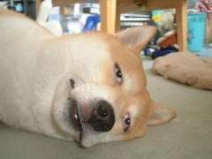 11월이 다가올수록