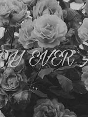 HAPPY EVER AFTER