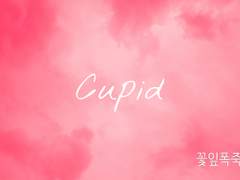 [신소데쿠] Cupid
