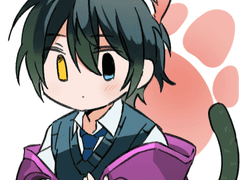 고양이가 너무 좋아서 책까지 냈습니다