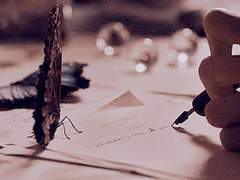 바네사 노먼 프로필