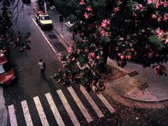 [규정] 사랑의 일곱 단계