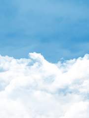 [겁쟁이 페달/ 유우아시유우/천사콜라보 패러랠] 당신의 흰 날개가 그리는 궤적