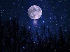 [국뷔] 호랑수월가 1