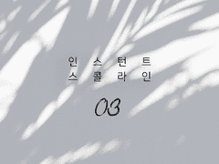 [규순] 인스턴트 스콜 라인 3