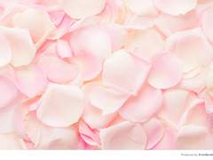 [엘아샤] 내일 혹은 건너편