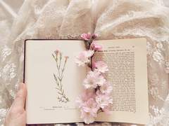 당신만을 위한 어릿광대-2