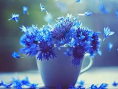 [혜영채린]비밀