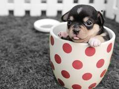 EDIT IN QUICK MASK MODE