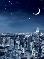 Faites la conversation avec moi, s'il vous pla&icirc;t!