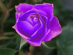 MENU - SELECT - COLOR RANGE