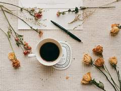 플랫폼 변경 공지