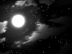 나를 죽인다 한들