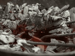 [노식유비] 어리석은 방법