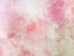 [스가키요] 프러포즈