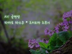 [타스츠무] 그 봄의 이름은 질투