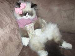 Kakaostory Real play house