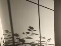 [시가다비] Tender is the Night