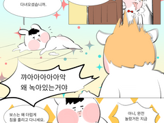 백보스 도토끼 낙서