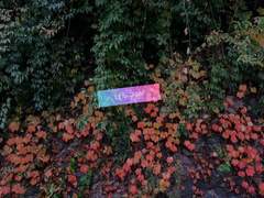 [할로윈 합작/쩨백]- who are you?