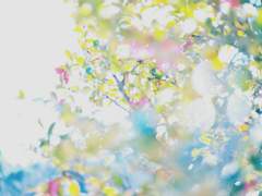 보고 싶은 언니에게