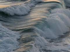 다정한 너에 대하여