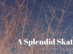 화려한 스케이터