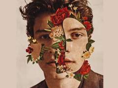 Shawn Mendes - Queen (가사/번역/해석)