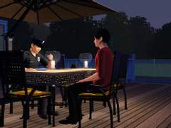 레히삼 심즈 일기 2