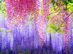 선덕 잃어버린 10년