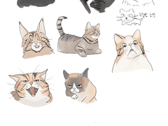 2018.08  |  고영과 낙서