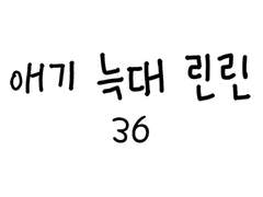 36 가을 캠핑