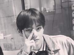 레드 핫 체리 페퍼스 5