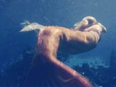 밤하늘을 닮은 인어