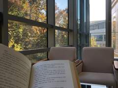 북쪽을 향한 맹세