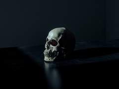 거부하고 싶은 진실