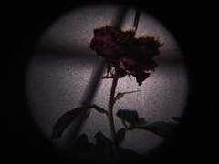 가식과 진심의 기로