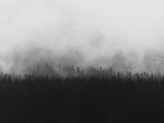 피터 파커가 죽을 수 없는 이유