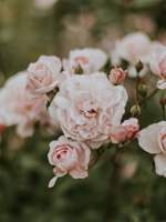 플레이 로그 백업