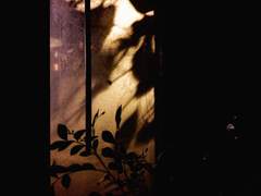 작은 공에서 나올 토끼를 기다리며