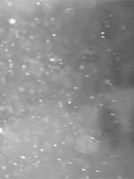 츠루야마 아키미치